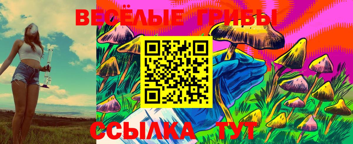 магазин продажи наркотиков  Галлюциногенные грибы мухоморы  Лесной  Вход с VPN  Галлюциногенные грибы MAGIC MUSHROOMS 