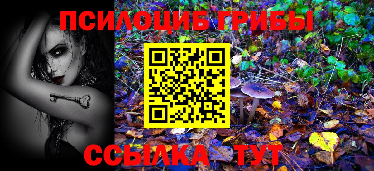 Псилоцибиновые грибы ЛСД Лесной